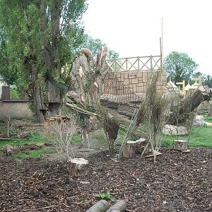 50th Anniversary 28/06/11