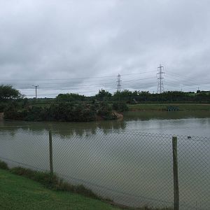 Tapir Lake at Folly Farm, 01/08/11