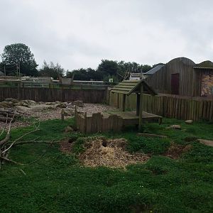 North American Mixed Exhibit at Folly Farm, 01/08/11