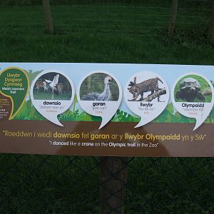 Welsh Language Trail at Folly Farm, 01/08/11