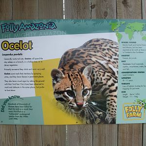 Signage Example at Folly Farm, 01/08/11