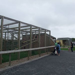 Capuchin Exhibit at Folly Farm, 01/08/11
