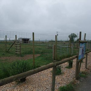 Reindeer Paddocks at Folly Farm, 01/08/11