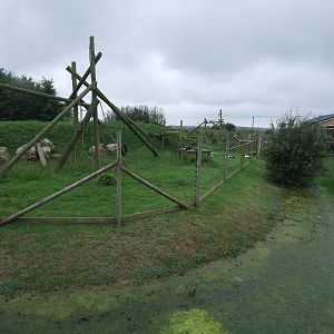 Ruffed Lemur Islands at Folly Farm, 01/08/11