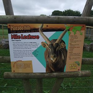 Signage Example at Folly Farm, 01/08/11