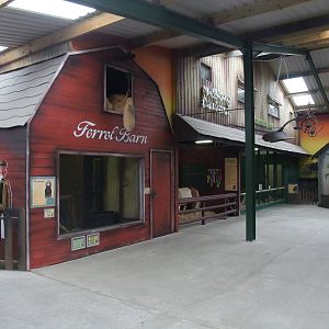 Farm Barn at Folly Farm, 01/08/11