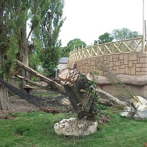 50th Anniversary 28/06/11