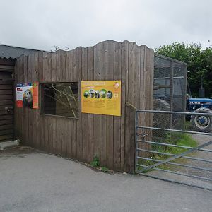 Opossum Exhibit at Folly Farm, 01/08/11