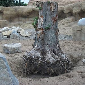 50th Anniversary 28/06/11