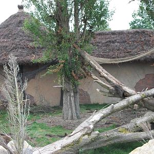 50th Anniversary 28/06/11