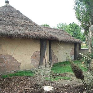 50th Anniversary 28/06/11