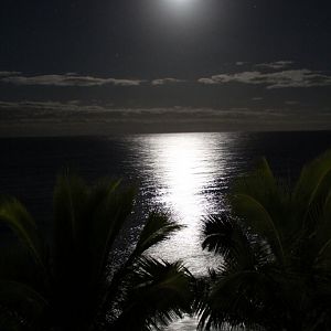 Moonlight reflection