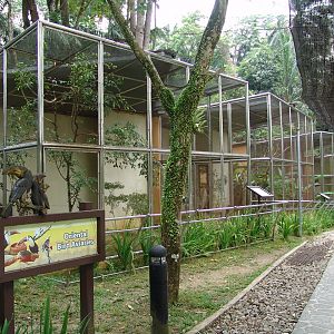 Oriental Bird Aviaries