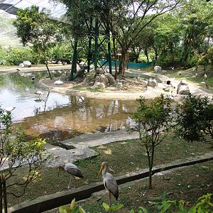 View of the big aviary