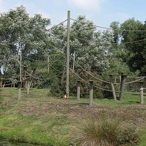 Lemur Island - 31.07.2011