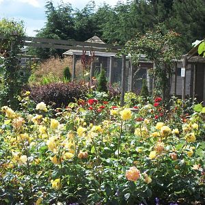 Filey Bird Garden and Animal Park