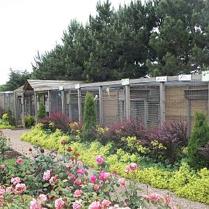 Filey Bird Garden and Animal Park
