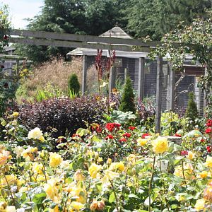 Filey Bird Garden and Animal Park