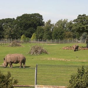 Plains of Africa - 01.08.2011