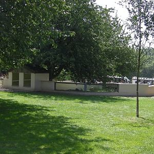 Meerkat and Otter Enclosures - 01.08.2011