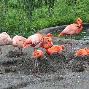 50th Anniversary 28/06/11