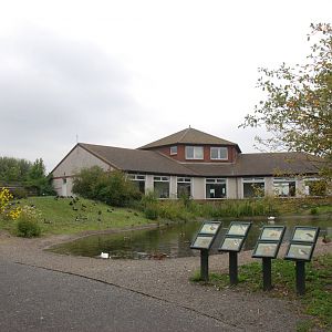 Top Pond at Llanelli WWT, 31/07/11