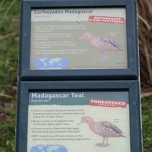 Signage Example at Llanelli WWT, 31/07/11