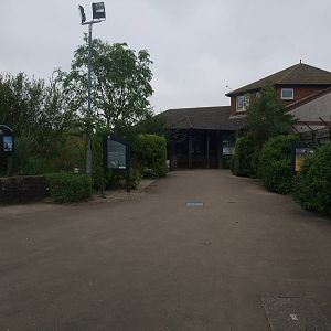 Main Entrance at Llanelli WWT, 31/07/11