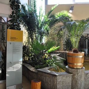 Giraffe and monkey house