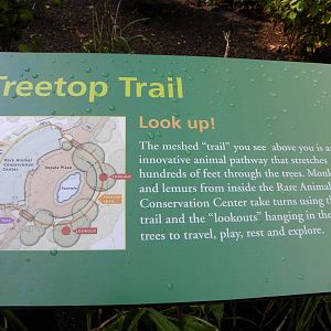 Treetop Trail