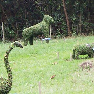 Wildlife Topiary
