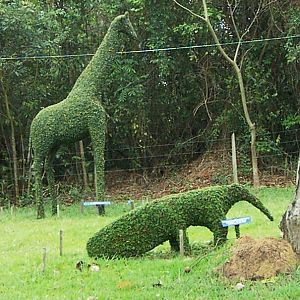 Wildlife Topiary
