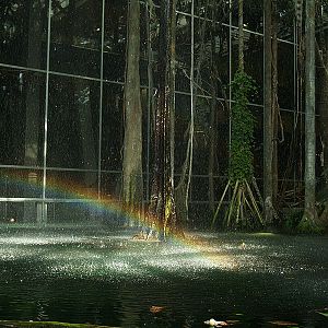 Cosmocaixa - Indoor rainbow