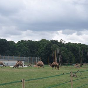 Construction View at Yorkshire WP, 07/08/11
