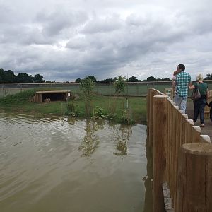 South American Walkthrough at Yorkshire WP, 07/08/11