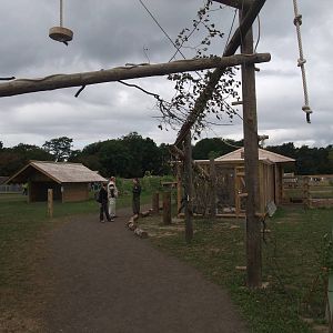 South American Walkthrough at Yorkshire WP, 07/08/11