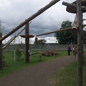 South American Walkthrough at Yorkshire WP, 07/08/11