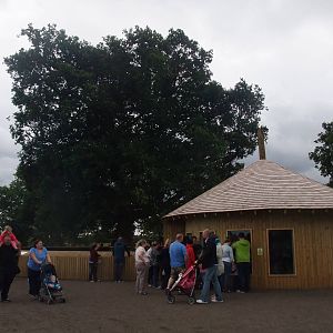 Marmoset Exhibit at Yorkshire WP, 07/08/11