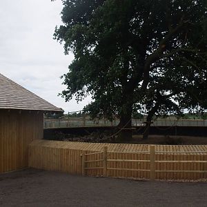 Marmoset Exhibit at Yorkshire WP, 07/08/11