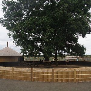 Marmoset Exhibit at Yorkshire WP, 07/08/11