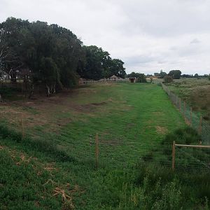 Sitatunga Exhibit at Yorkshire WP, 07/08/11
