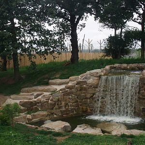 Tiger Exhibit at Yorkshire WP, 07/08/11