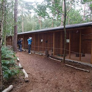 Bird of Prey Aviaries at Yorkshire WP, 07/08/11