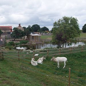 General View at Yorkshire WP, 07/08/11