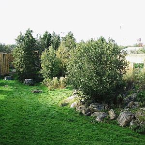 Exhibit for Siberian Tigers 24/09/10