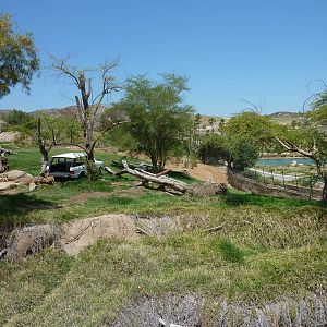 SDWAP - Modified Lion Exhibit