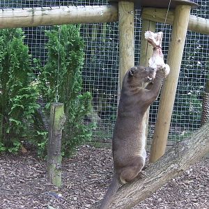 Fozza Enrichment - 02.08.2011