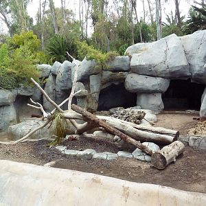 Manchurian Brown Bear/Grizzly Grotto