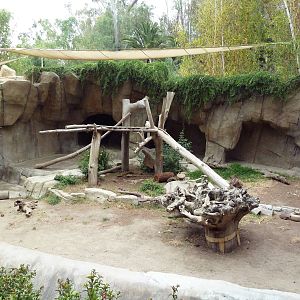 Sloth Bear Grotto