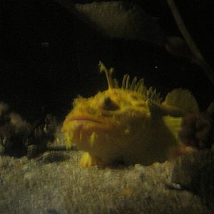 A Face Only A Mother Can Love